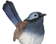 SilentCue